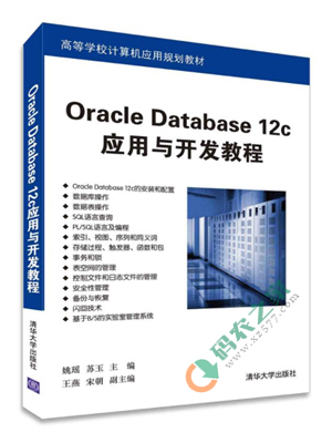 Oracle Database 12c应用与开发教程 PDF