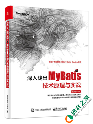 深入浅出MyBatis技术原理与实战 PDF