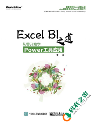 Excel BI 之道：从零开始学Power工具应用 PDF