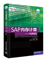 SAP内存计算-HANA