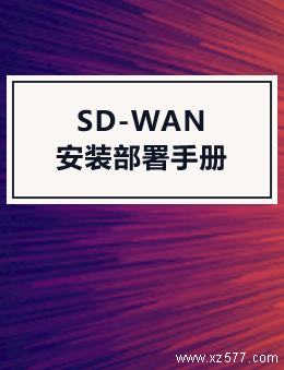 SD-WAN安装部署手册
