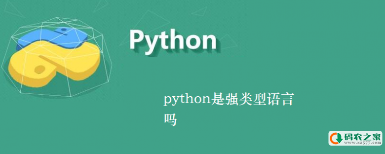 python是强类型语言吗