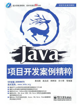 Java项目开发案例精粹