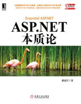 《ASP.NET本质论》源代码
