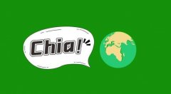 挖矿Chia（奇亚）必备的关键要素