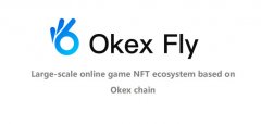 OKFLY币发展前景及其价值概览