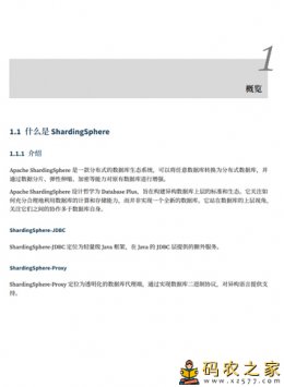 ShardingSphere5.2.1开发者手册