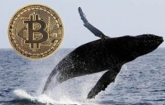 比特币巨鲸是什么意思？