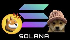 Solana链上狗狗概念币BONK、WIF再创奇迹，持续高涨！