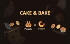 BAKE币和CAKE币有何不同？深度分析这两种代币的差异！