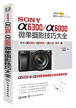 SONYα6300/α6000微单摄影技巧大全