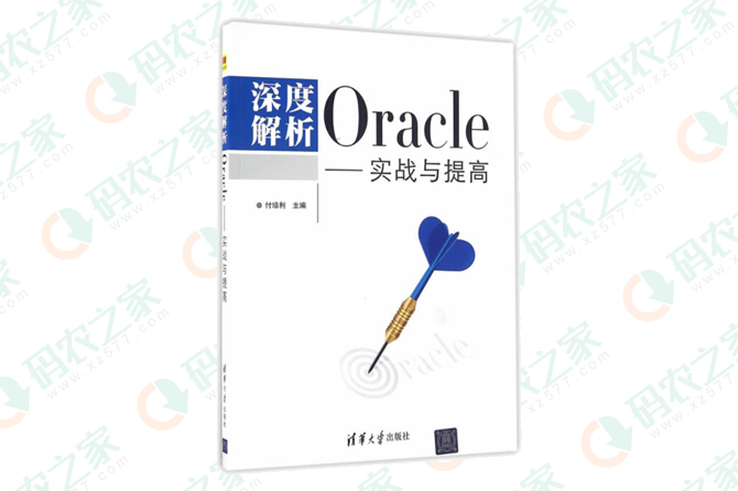 深度解析Oracle 实战与提高