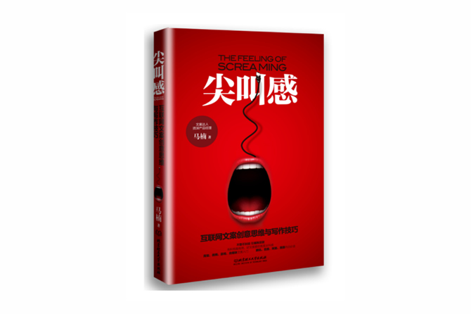 尖叫感：互联网文案创意思维与写作技巧