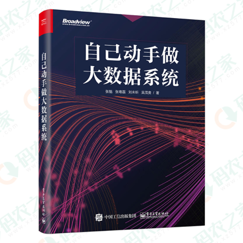 自己动手做大数据系统 PDF