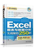 Excel图表与数据分析实战秘技250招