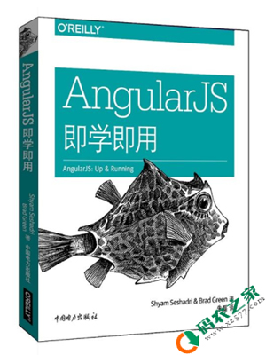 AngularJS即学即用 PDF