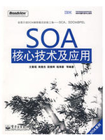 SOA核心技术及应用