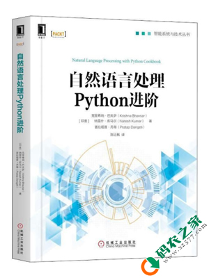 自然语言处理Python进阶 PDF