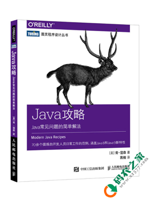 Java攻略 Java常见问题的简单解法 PDF