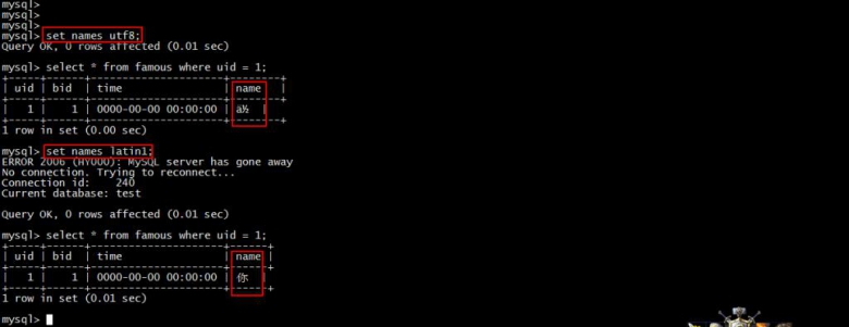 MySQL乱码问题终极指南