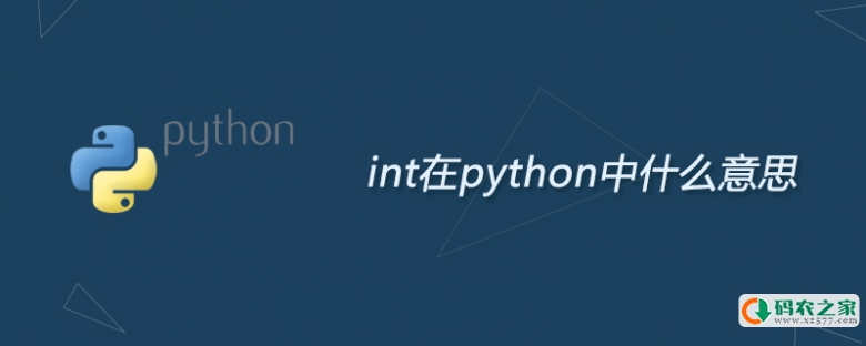 int在python中什么意思