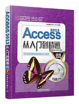 Access 2013从入门到精通