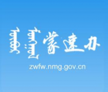 蒙速办四级实名认证、三级实名认证不通过什么原因？蒙速办四级认证接口调用失败怎么办？