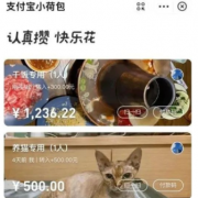 支付宝小荷包如何关闭？支付宝小荷包的钱如何取出来？