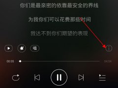 网易云音乐如何调整歌词字体大小 网易云音乐调整歌词字体大小步骤