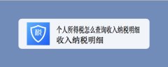 个人所得税如何查看2021年纳税明细？