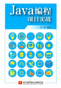 Java编程项目实战
