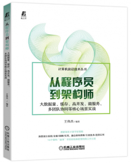 从程序员到架构师：大数据量 缓存、高并发、微服务 多团队协同等核心场景实战