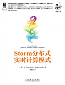 《Storm分布式实时计算模式》源码