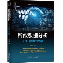 智能数据分析：入门、实战与平台构建