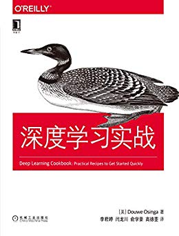 深度学习实战