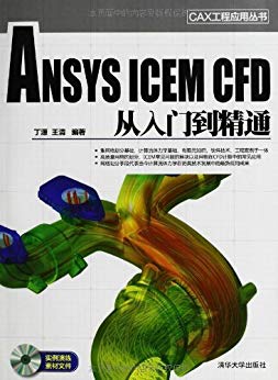 ANSYS ICEM CFD从入门到精通